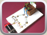 Moestuintjes waterindikator (2)