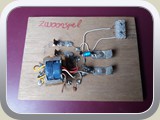 Zwaarspel (5)